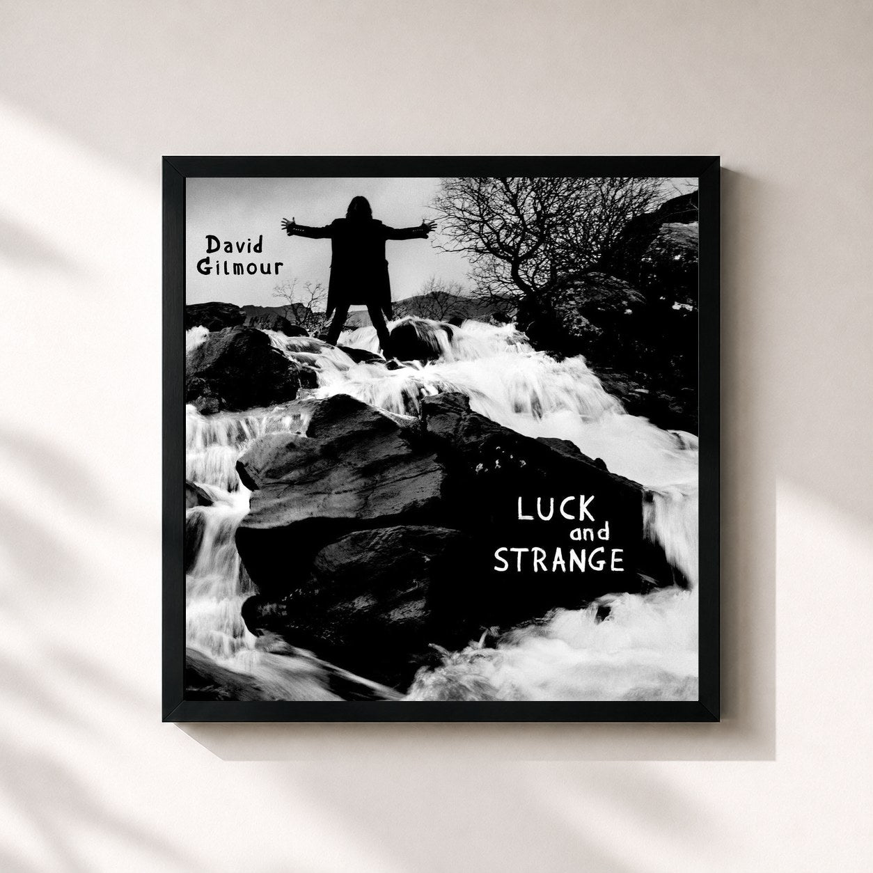 David Gilmour · Luck and Strange