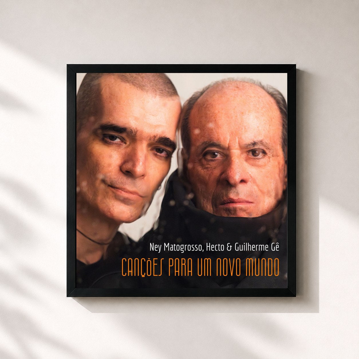 Ney Matogrosso · Canções Para Um Novo Mundo