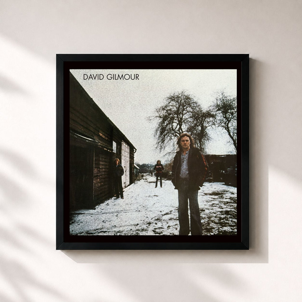 David Gilmour · David Gilmour