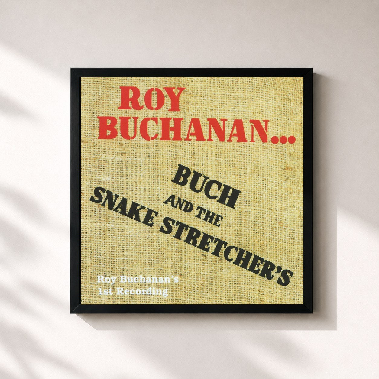 Roy Buchanan · Buch and the Snake Stretchers