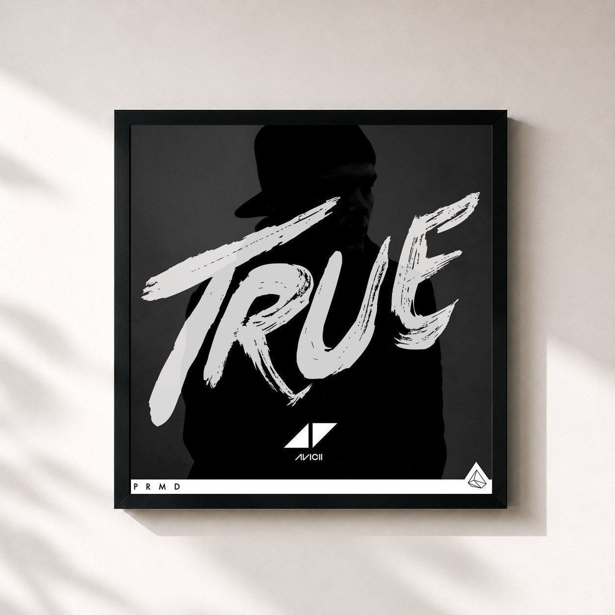 Avicii · True (Bonus Edition)