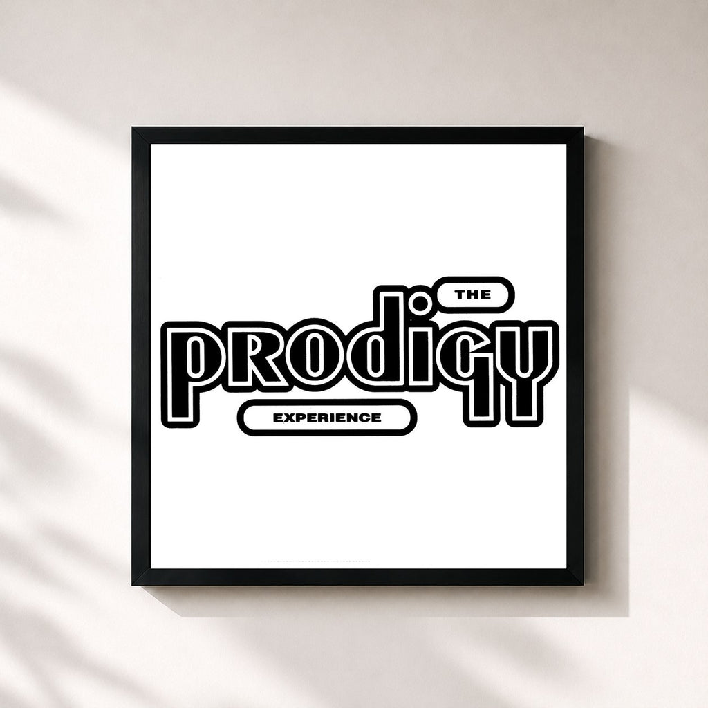 The Prodigy · Experience