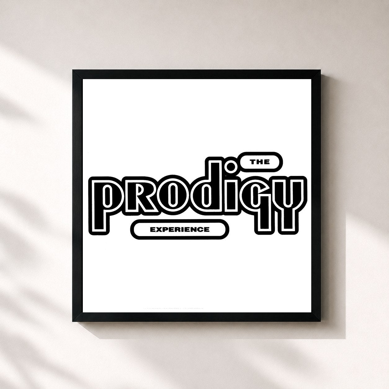 The Prodigy · Experience