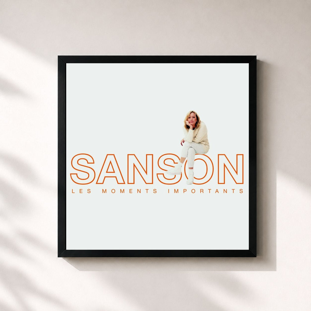 Véronique Sanson – Les moments importants - Best of Véronique Sanson