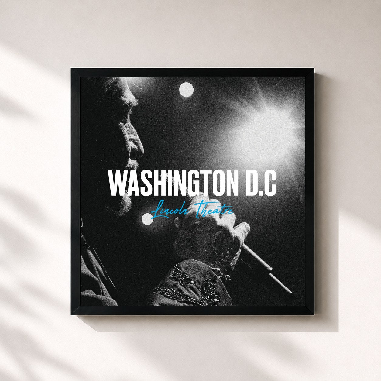 Johnny Hallyday · Live au Lincoln Theatre de Washington D.C, 2014