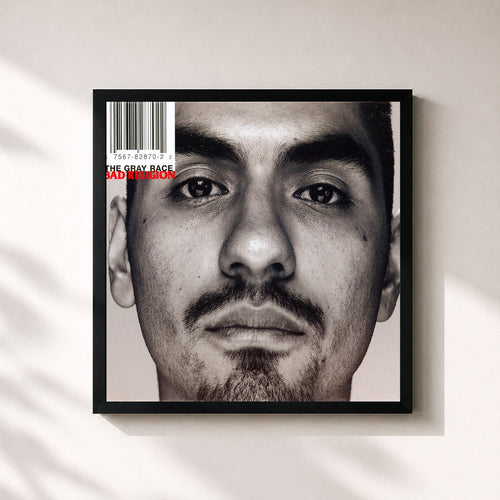 Bad Religion · The Gray Race — Stampa incorniciata