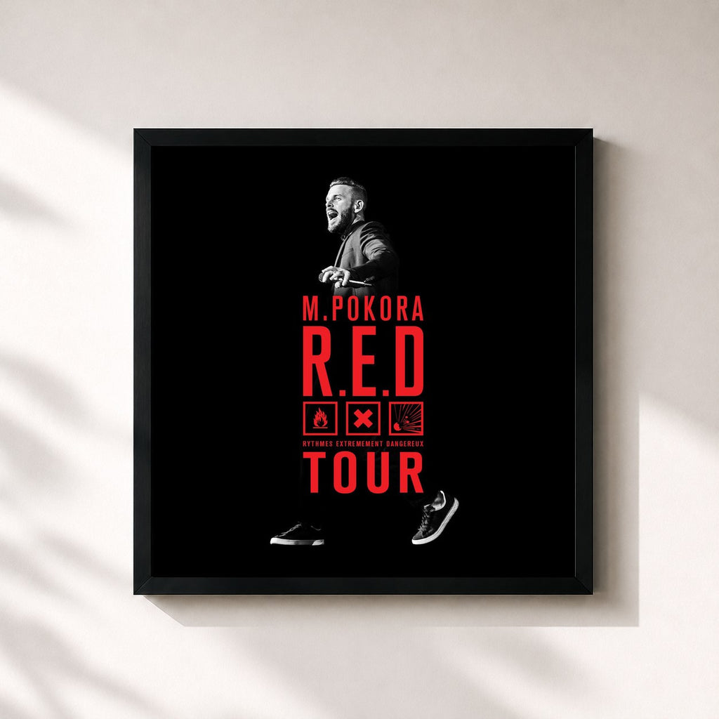 M. Pokora · R.E.D. Tour Live