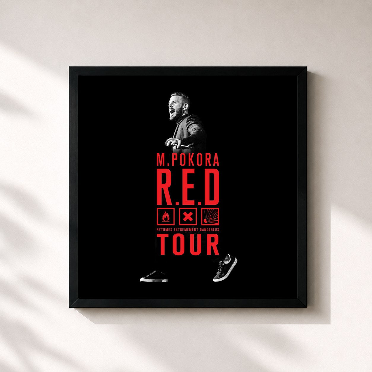 M. Pokora · R.E.D. Tour Live