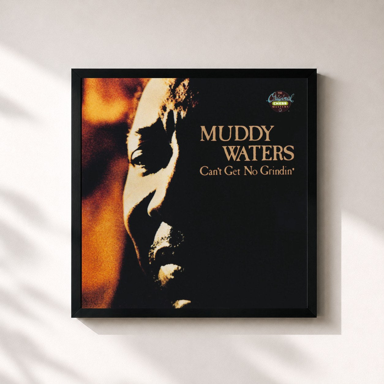 Muddy Waters · Can't Get No Grindin'