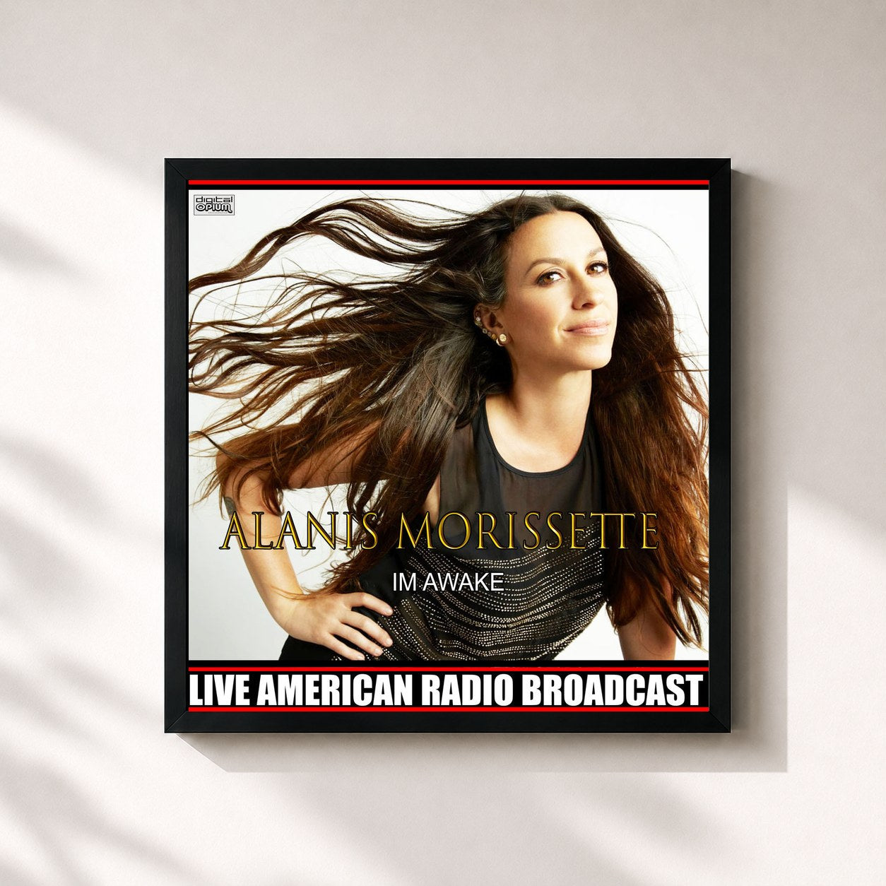 Alanis Morissette · Im Awake (Live)