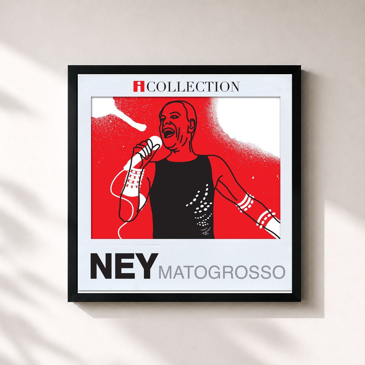 Ney Matogrosso · iCollection