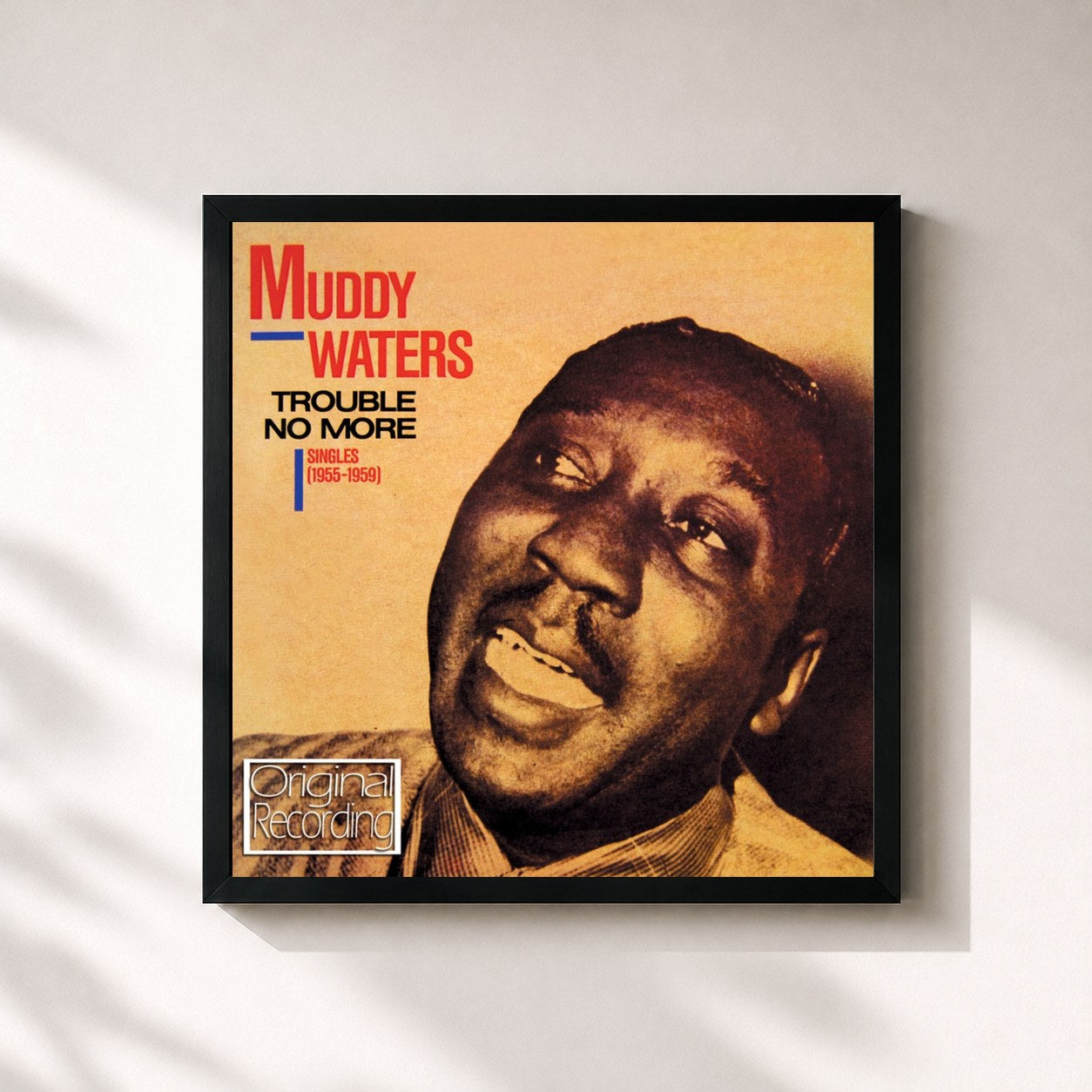 Muddy Waters · Trouble No More