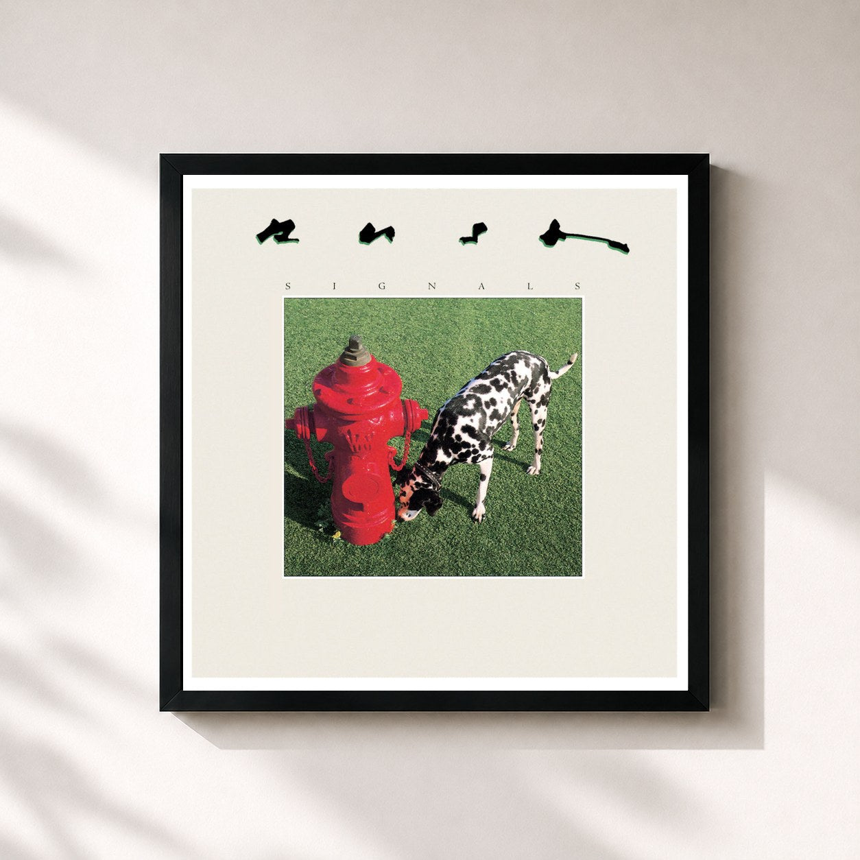Rush · Signals