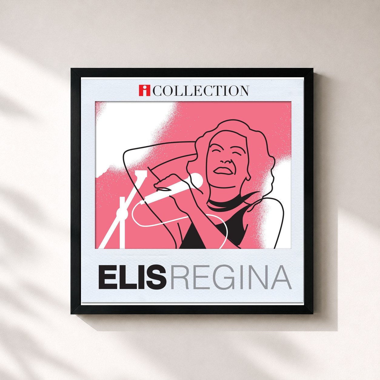Elis Regina · iCollection