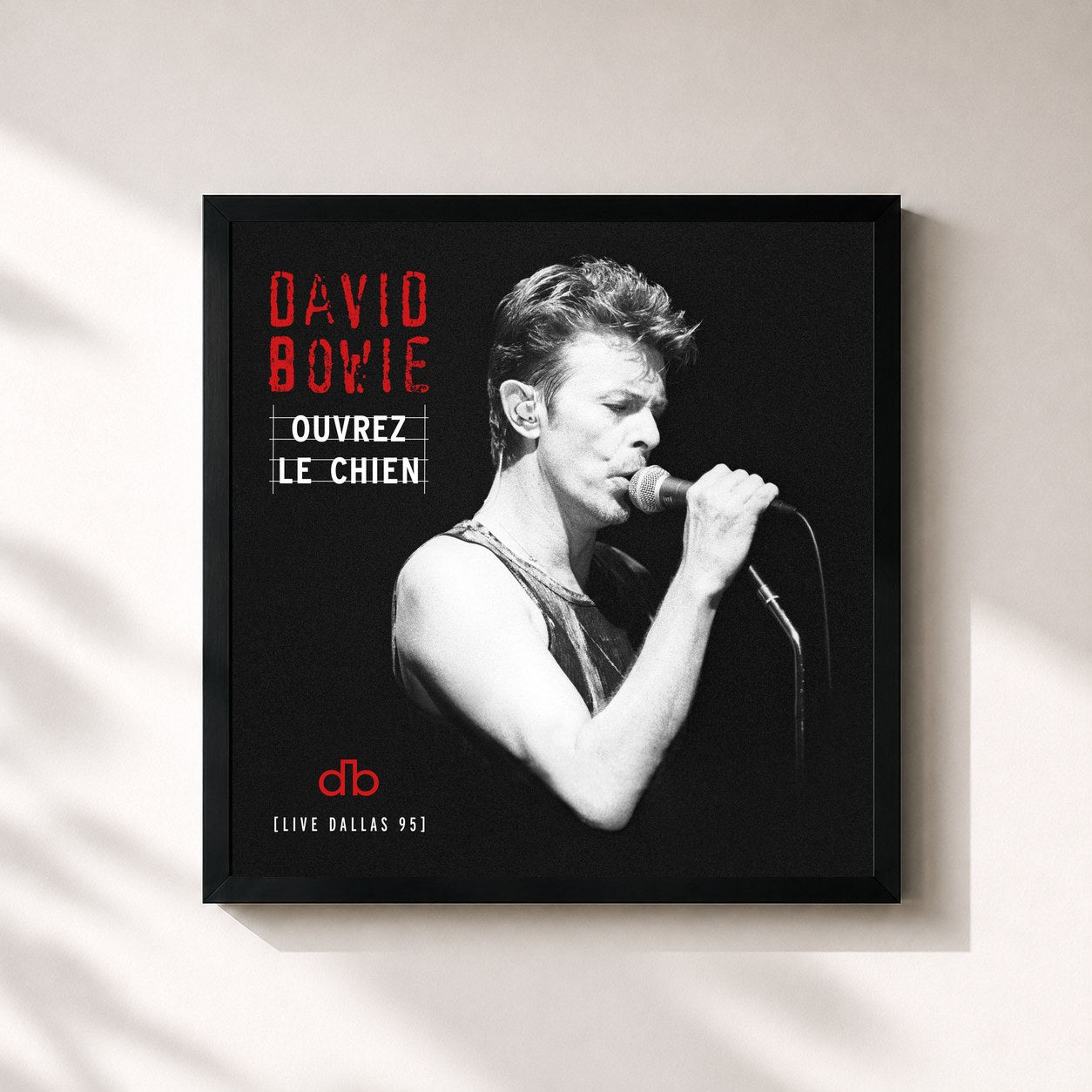 David Bowie – Ouvrez Le Chien (Live Dallas 95)