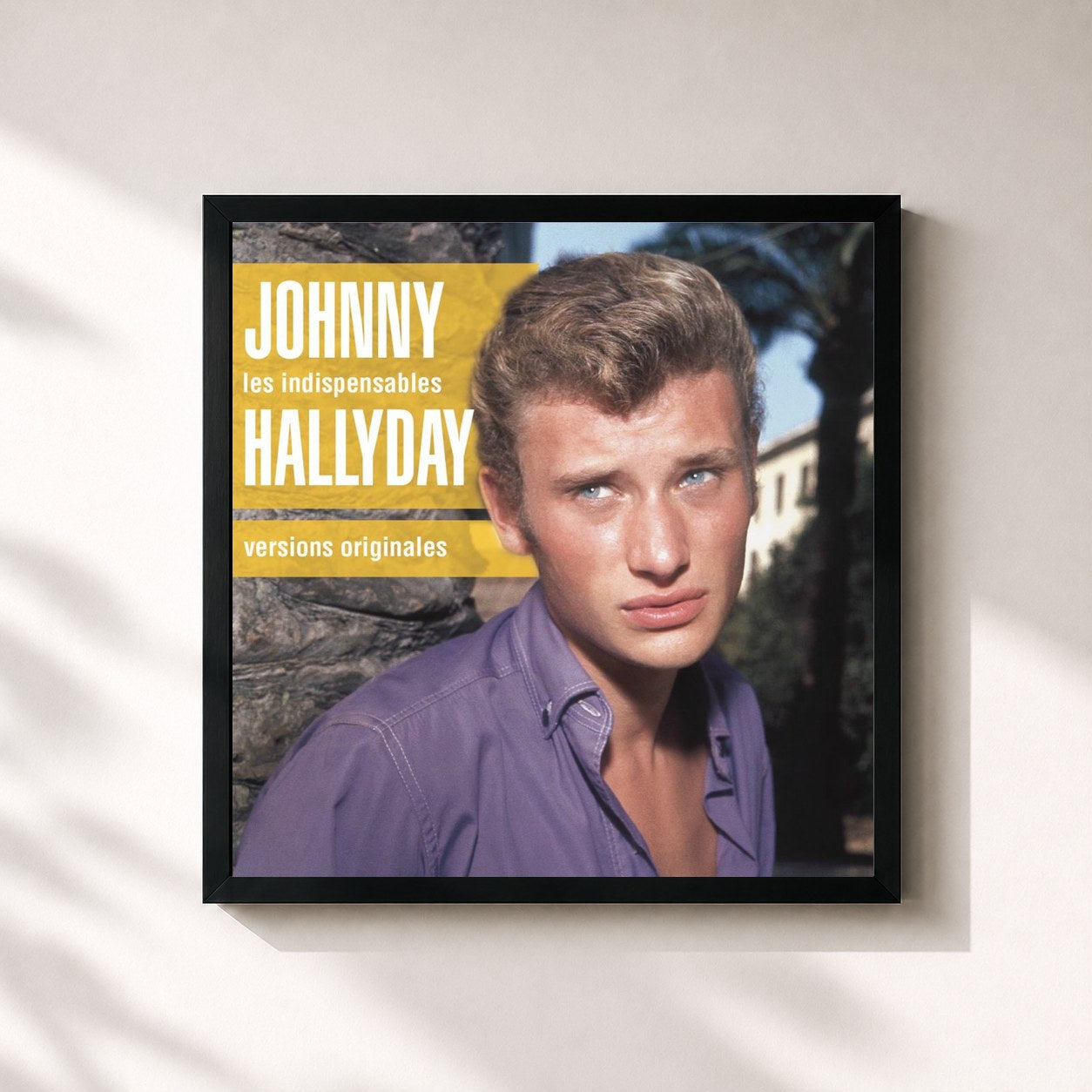 Johnny Hallyday · Les Indispensables