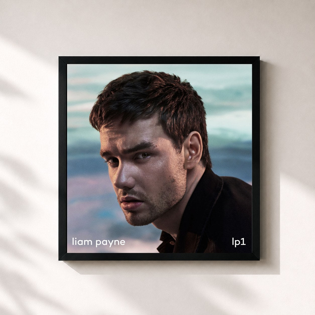 Liam Payne · LP1
