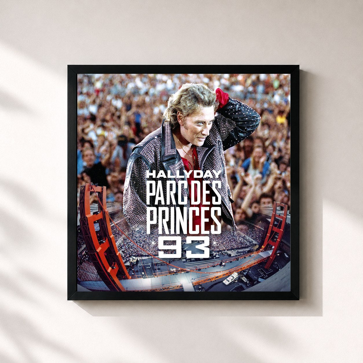 Johnny Hallyday · Parc des Princes 93 (Live)