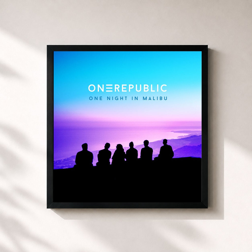 OneRepublic · One Night In Malibu