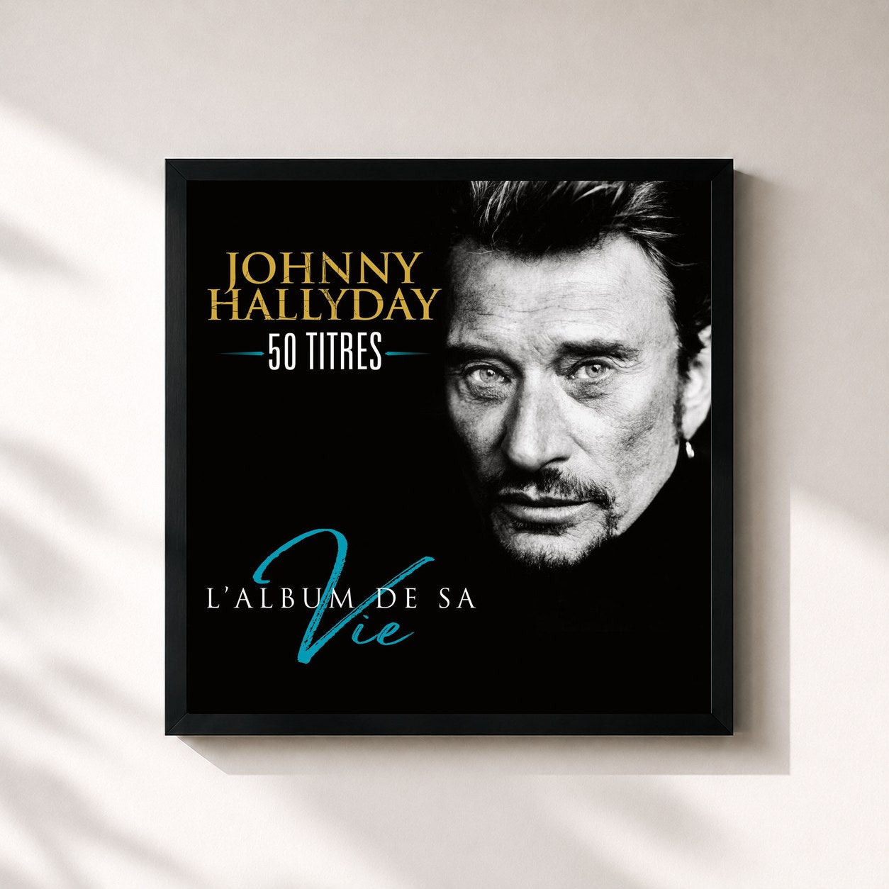 Johnny Hallyday · L'album de sa vie 50 titres