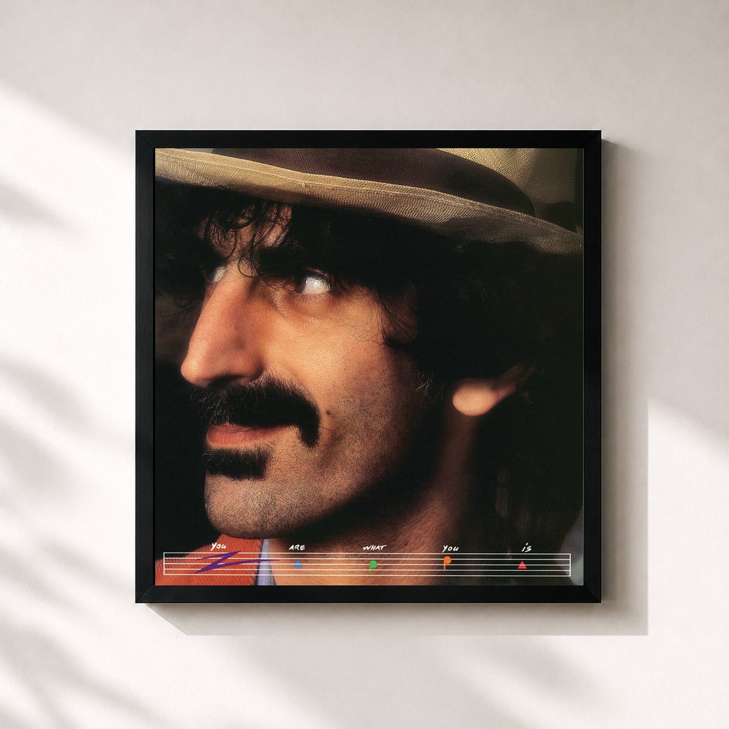 Frank Zappa – You Are What You Is
