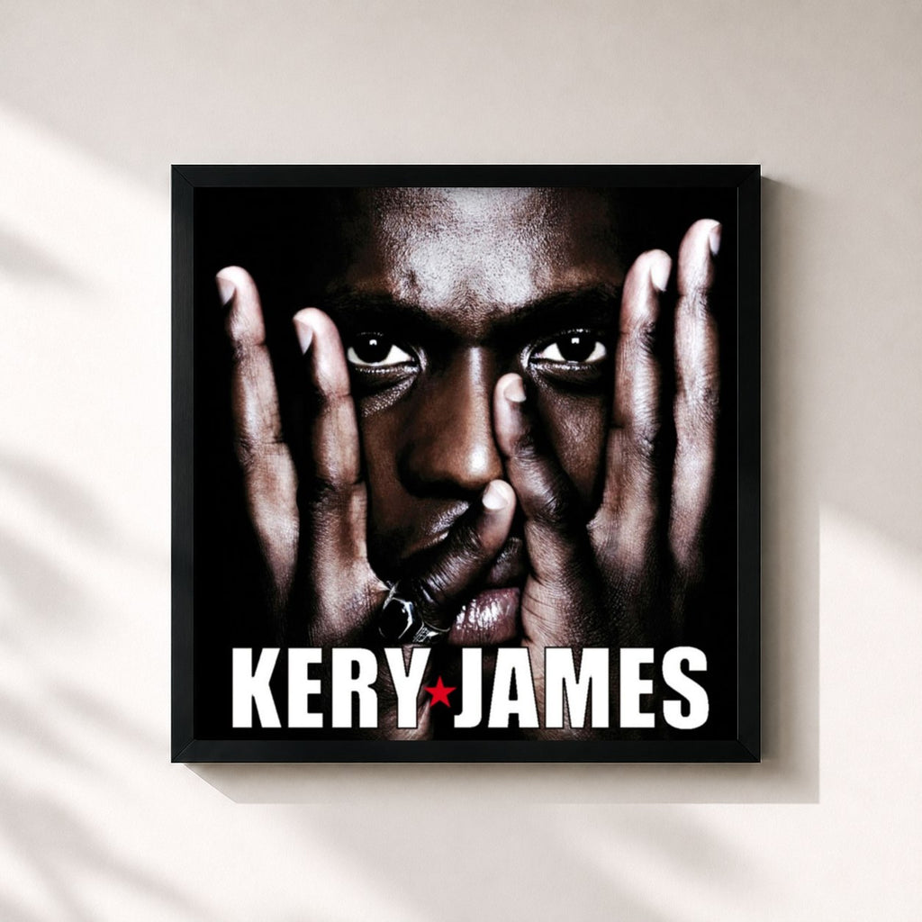 Kery James · À l'ombre du show business
