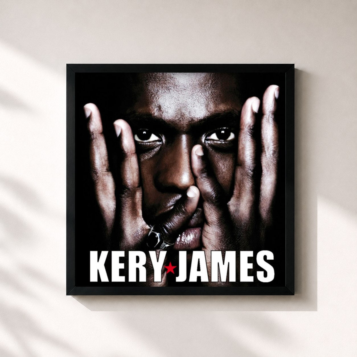 Kery James · À l'ombre du show business