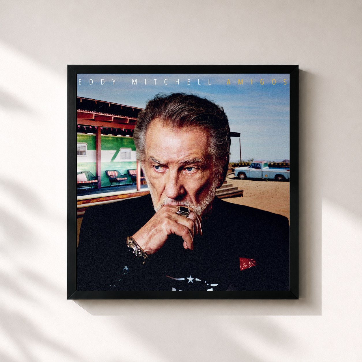 Eddy Mitchell · Amigos