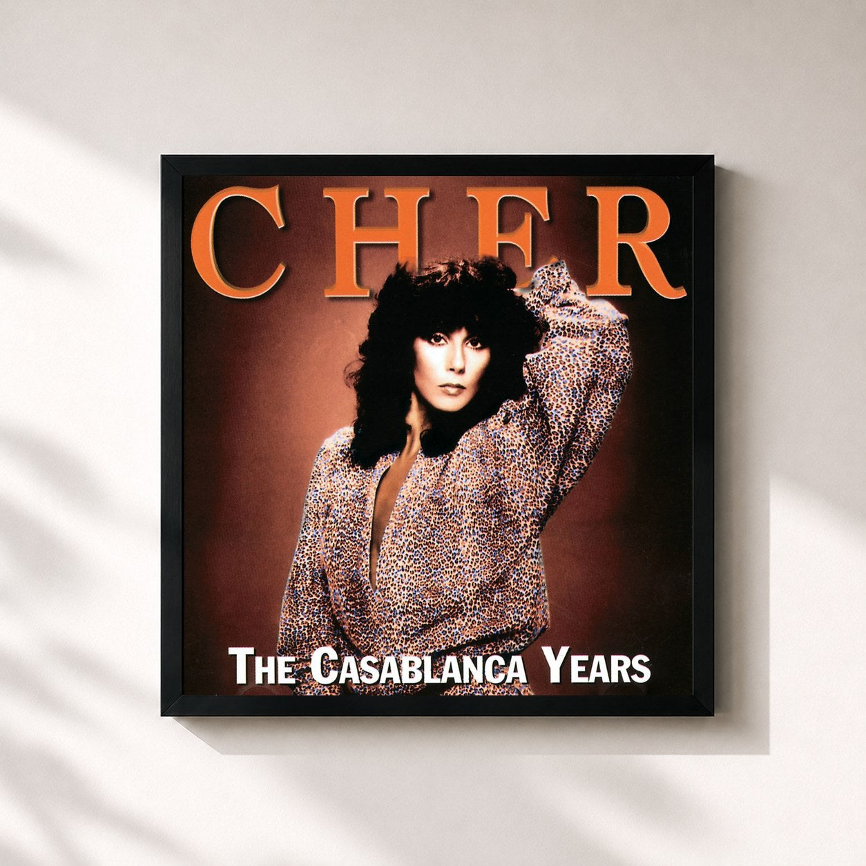 Cher · Prisoner/Take Me Home