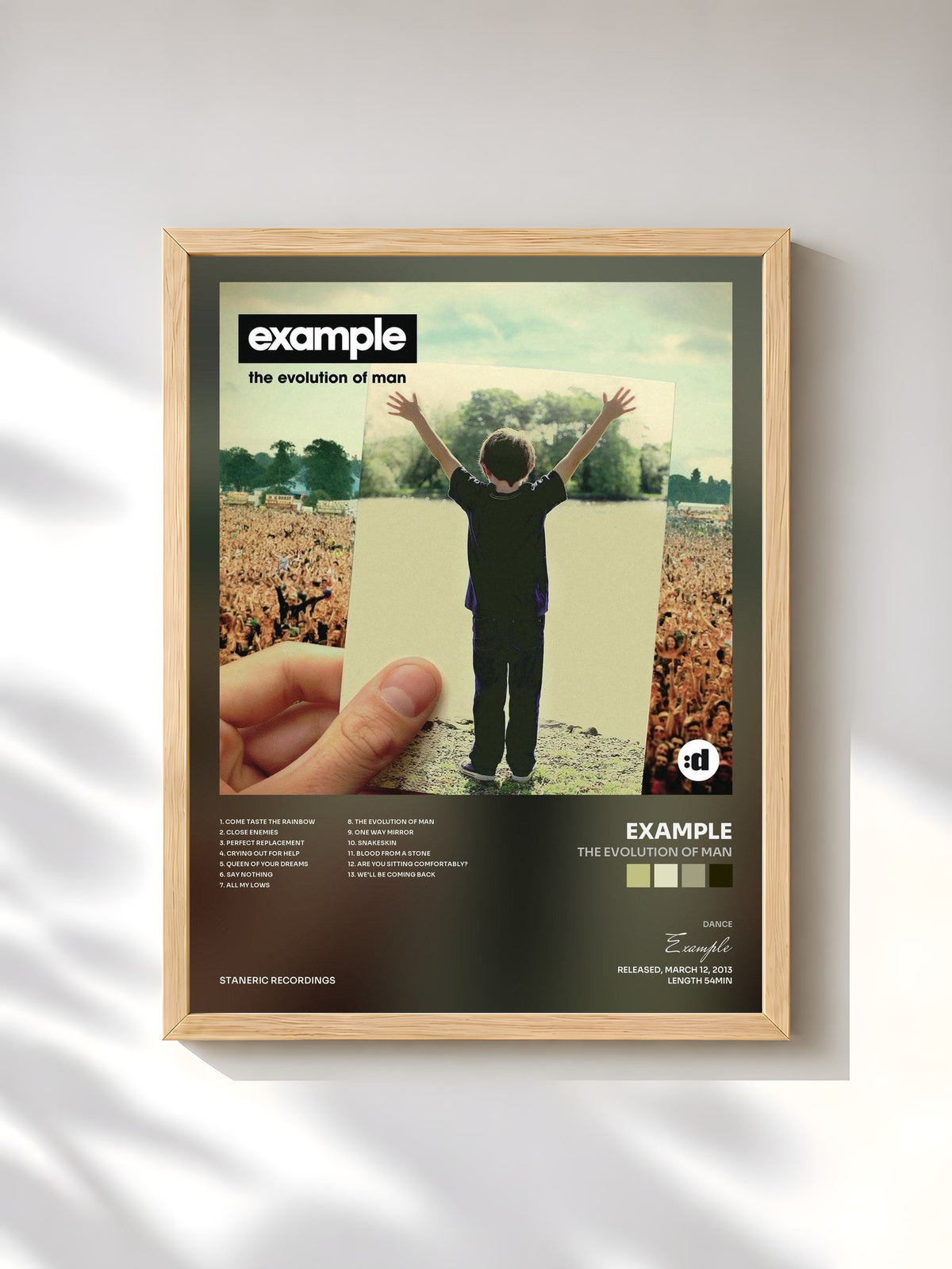 #bois Tableau de l'album The Evolution of Man de Example, cadre en bois brut, imprimé et encadré en France