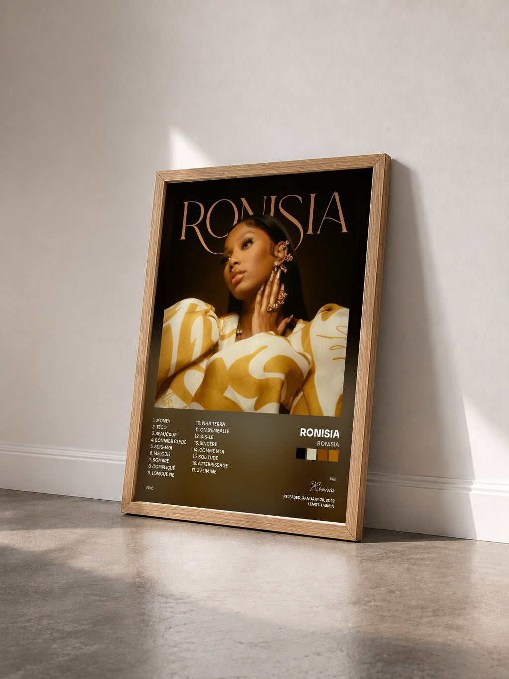 #bois Tableau de l'album Ronisia de Ronisia vu de trois quarts, cadre en bois brut