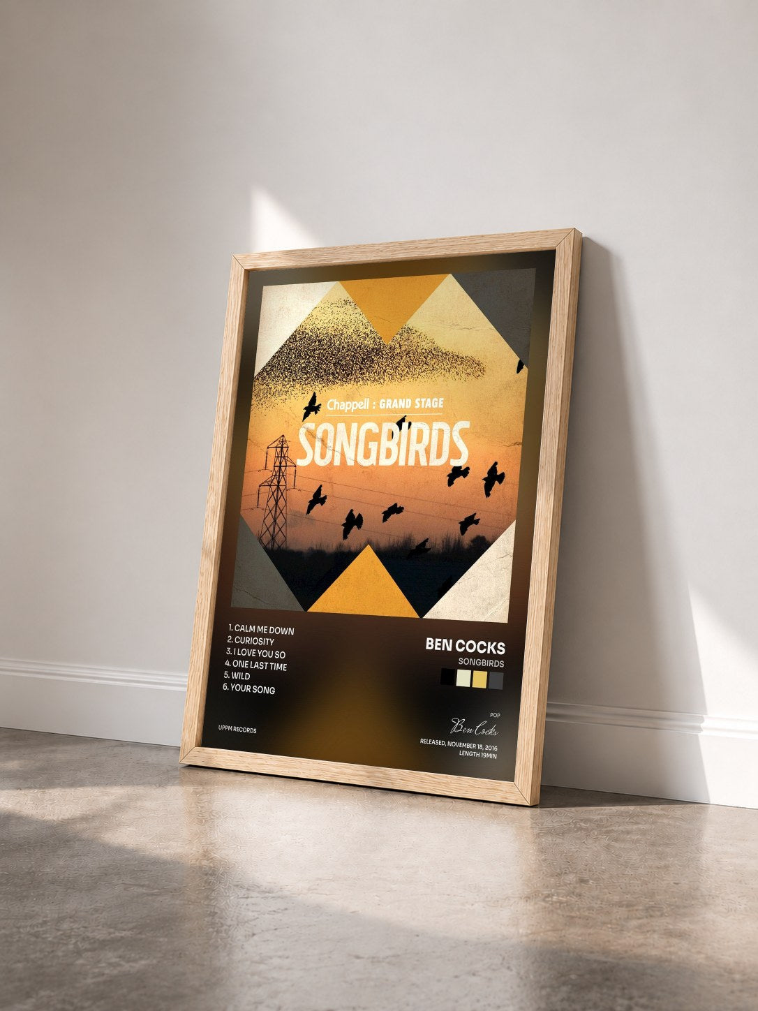 #bois Tableau de l'album Songbirds de Ben Cocks vu de trois quarts, cadre en bois brut