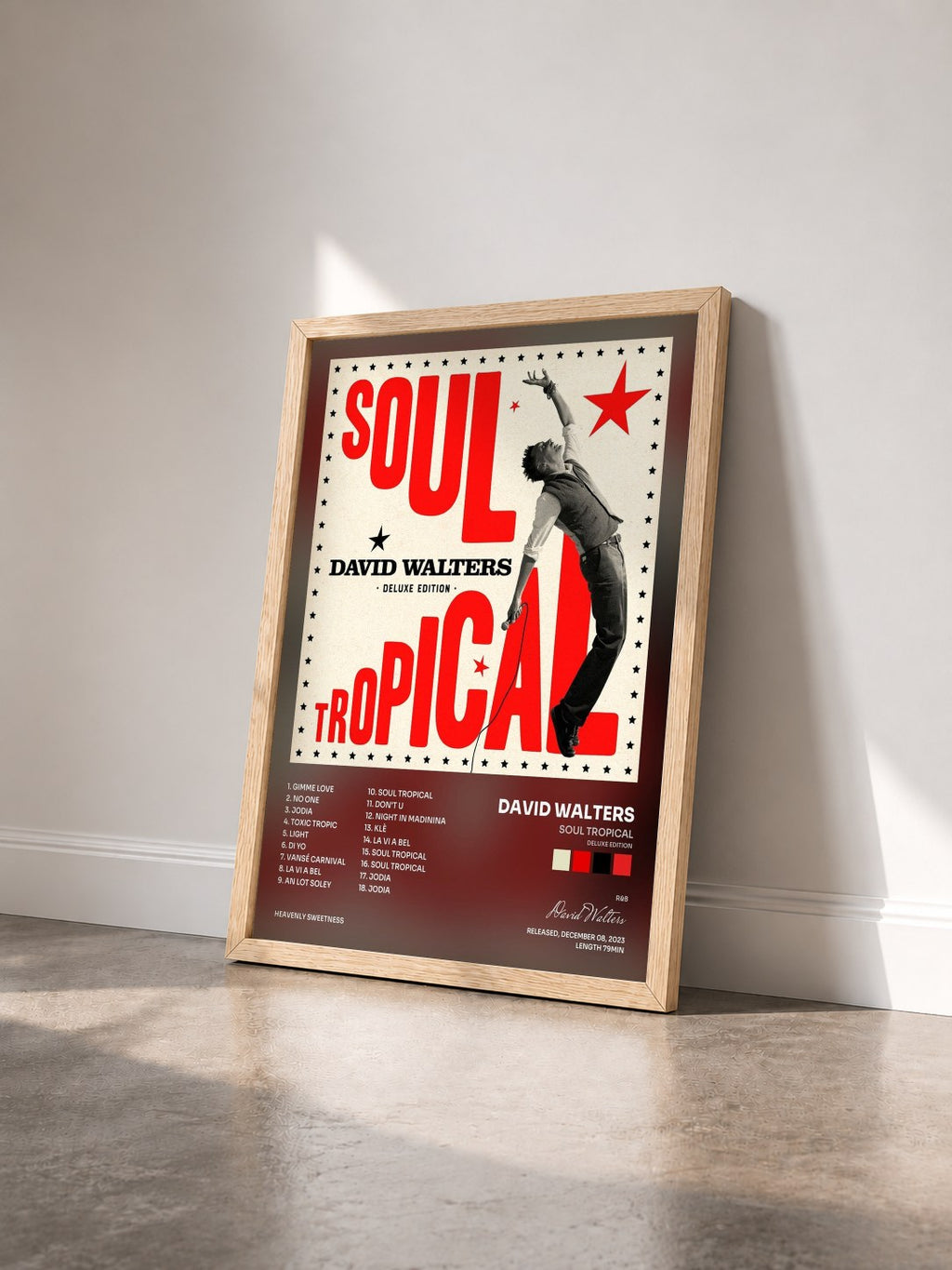 #bois Tableau de l'album Soul Tropical (Deluxe Edition) de David Walters vu de trois quarts, cadre en bois brut
