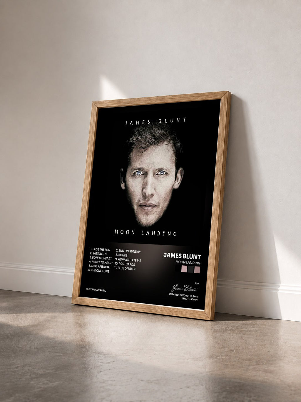 #bois Tableau de l'album Moon Landing de James Blunt vu de trois quarts, cadre en bois brut
