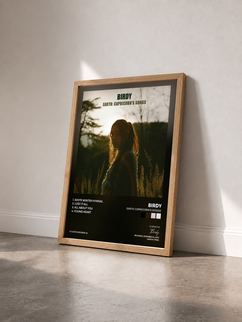 #bois Tableau de l'album Earth: Capricorn's Songs de Birdy vu de trois quarts, cadre en bois brut