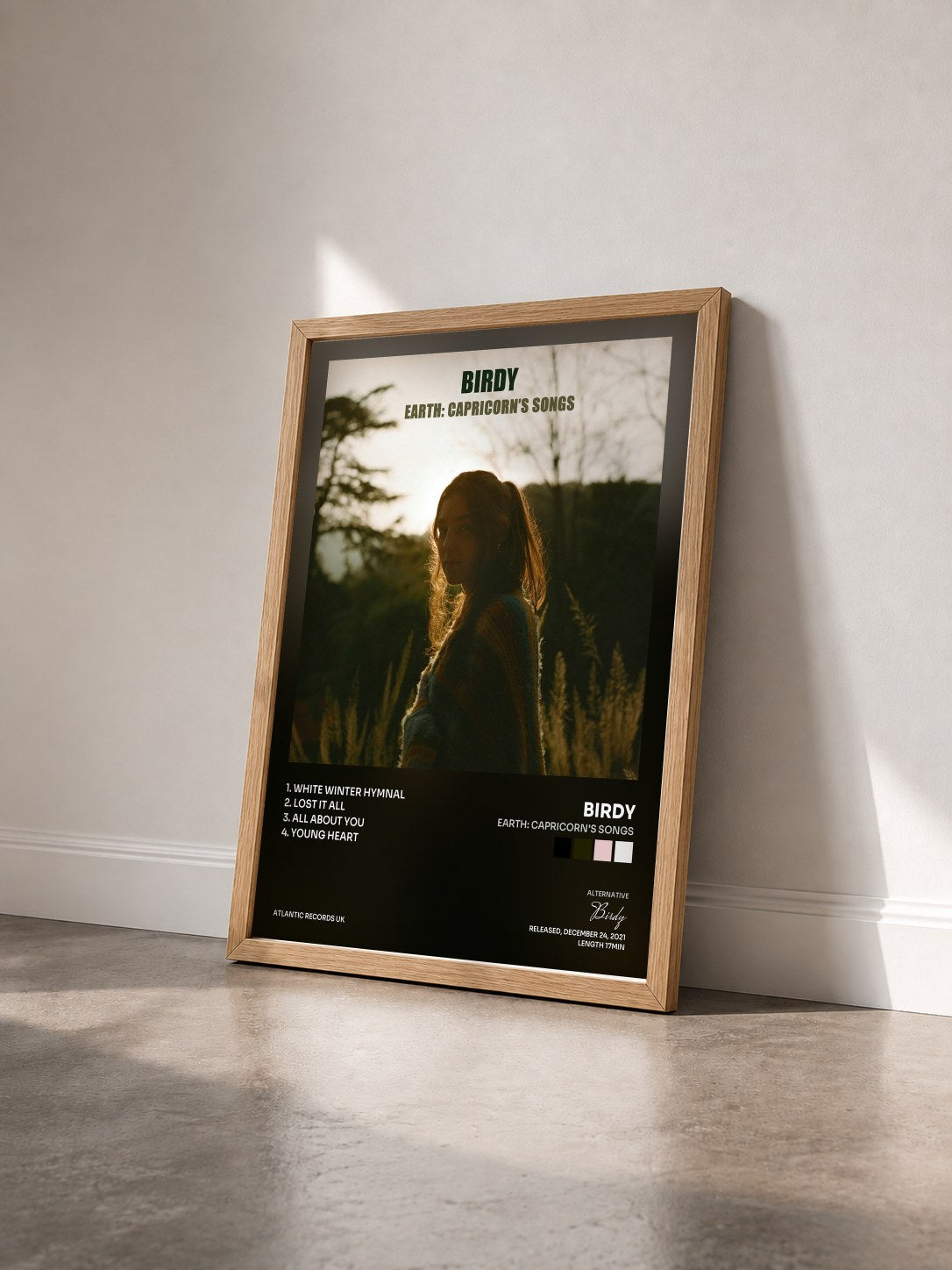 #bois Tableau de l'album Earth: Capricorn's Songs de Birdy vu de trois quarts, cadre en bois brut
