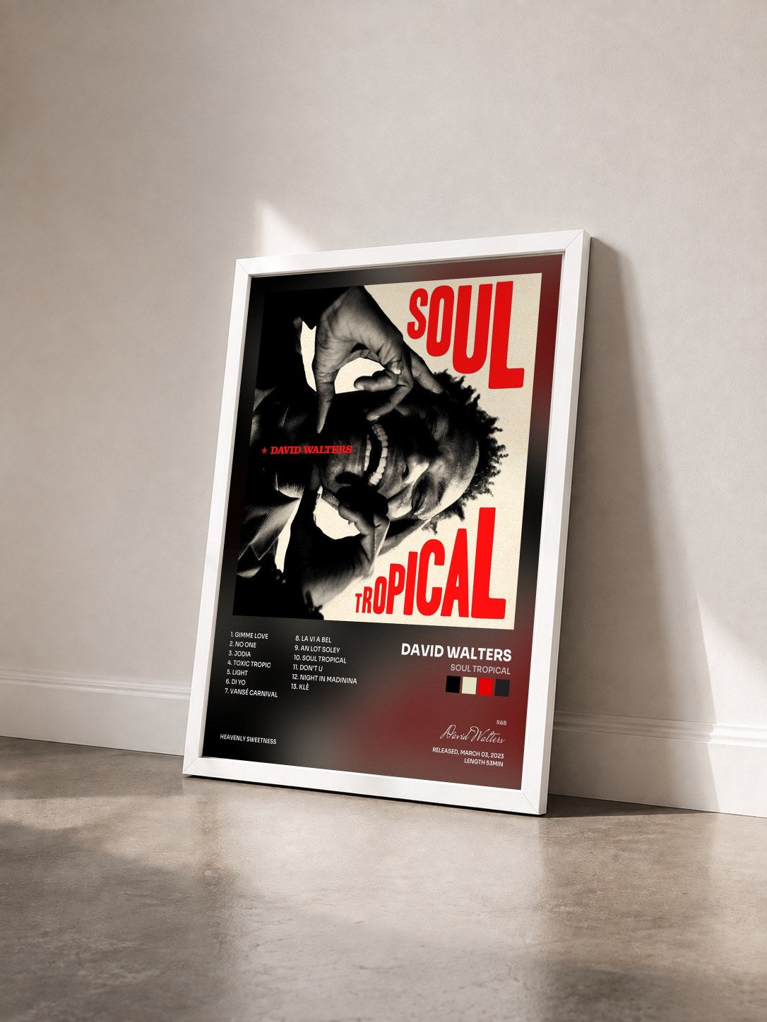 #blanc Tableau de l'album Soul Tropical de David Walters vu de trois quarts, cadre blanc