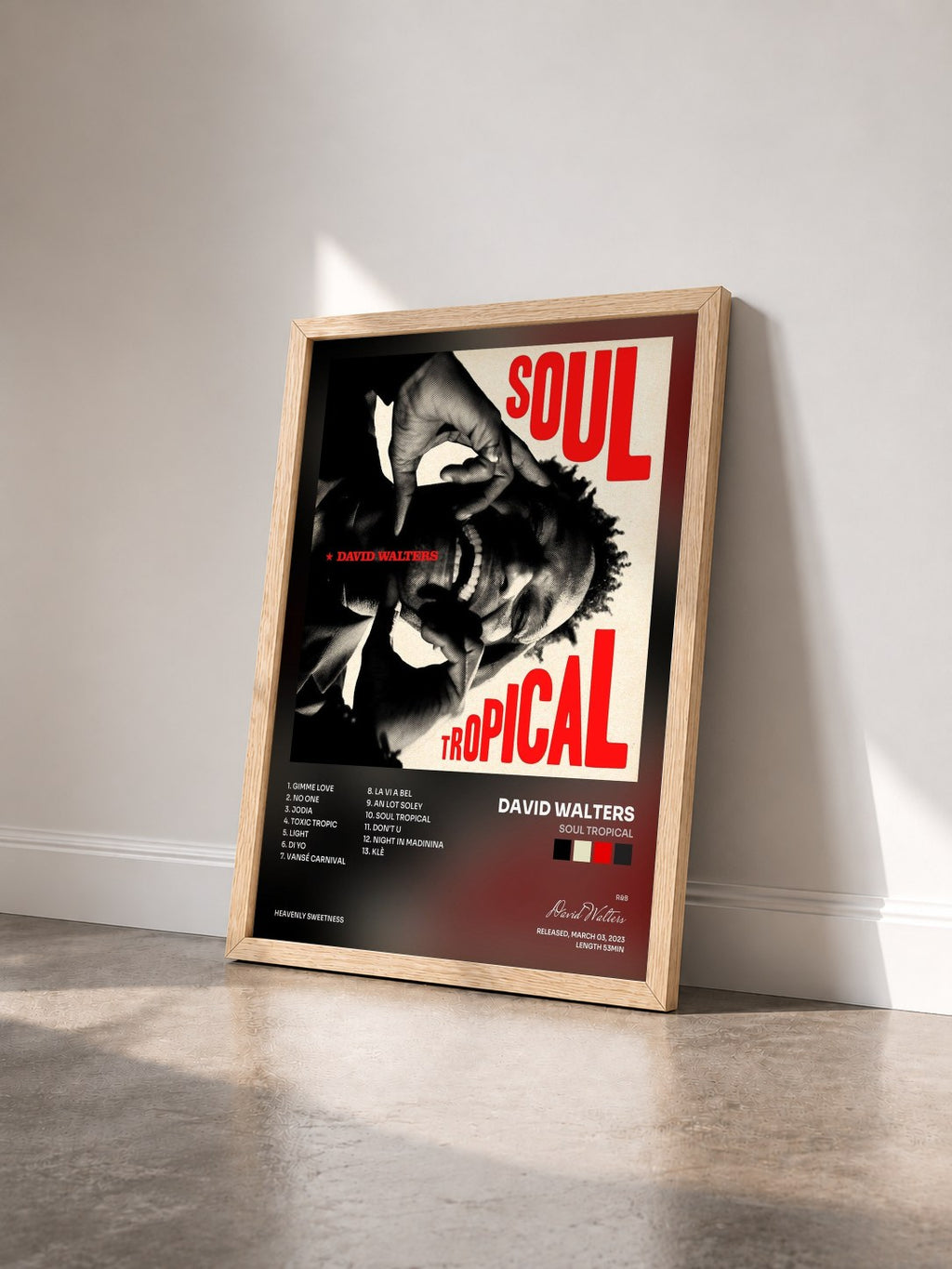 #bois Tableau de l'album Soul Tropical de David Walters vu de trois quarts, cadre en bois brut