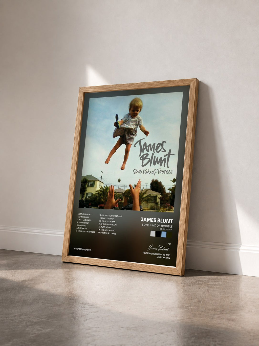 #bois Tableau de l'album Some Kind of Trouble (Deluxe Edition) de James Blunt vu de trois quarts, cadre en bois brut