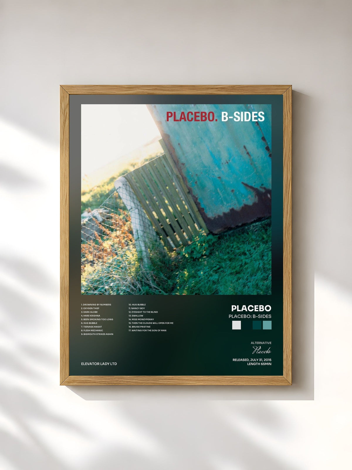 #bois Tableau de l'album Placebo: B-Sides de Placebo, cadre en bois brut, imprimé et encadré en France