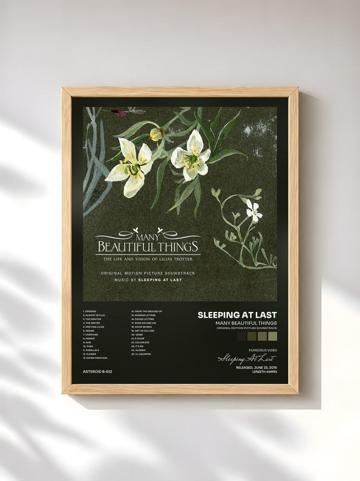 #bois Tableau de l'album Many Beautiful Things (Original Motion Picture Soundtrack) de Sleeping At Last, cadre en bois brut, imprimé et encadré en France