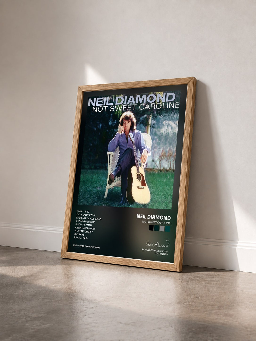 #bois Tableau de l'album Not Sweet Caroline de Neil Diamond vu de trois quarts, cadre en bois brut