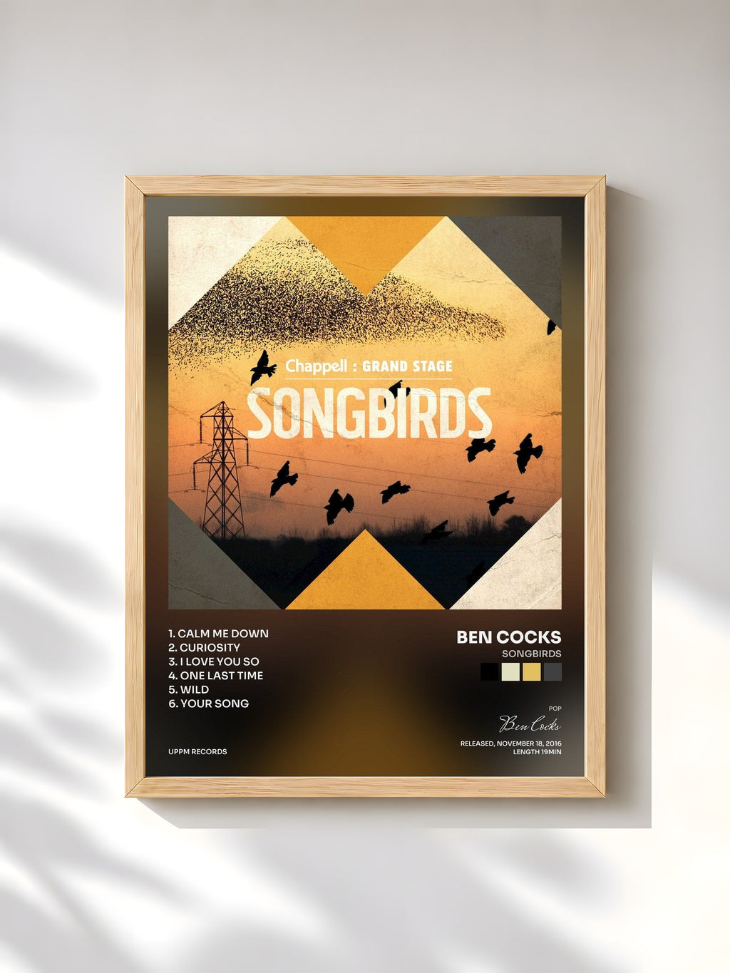 #bois Tableau de l'album Songbirds de Ben Cocks, cadre en bois brut, imprimé et encadré en France