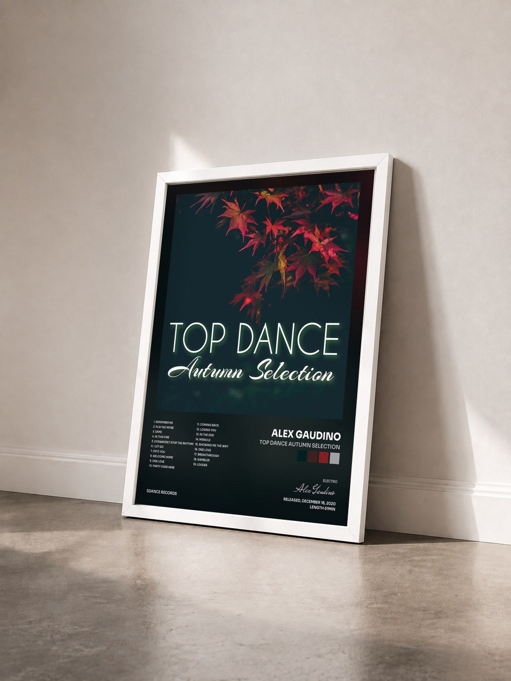 #blanc Tableau de l'album Top Dance Autumn Selection de Alex Gaudino vu de trois quarts, cadre blanc