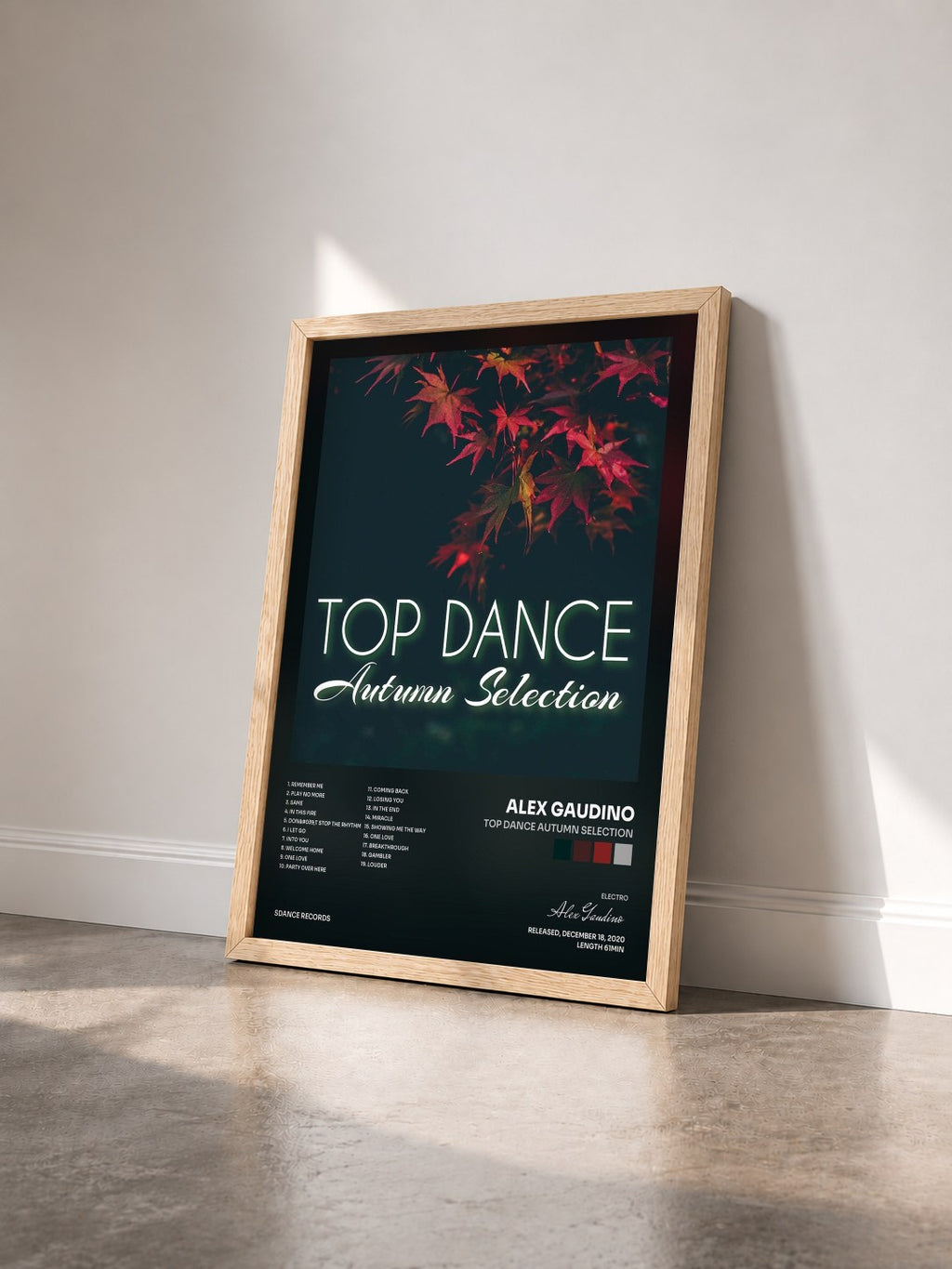 #bois Tableau de l'album Top Dance Autumn Selection de Alex Gaudino vu de trois quarts, cadre en bois brut