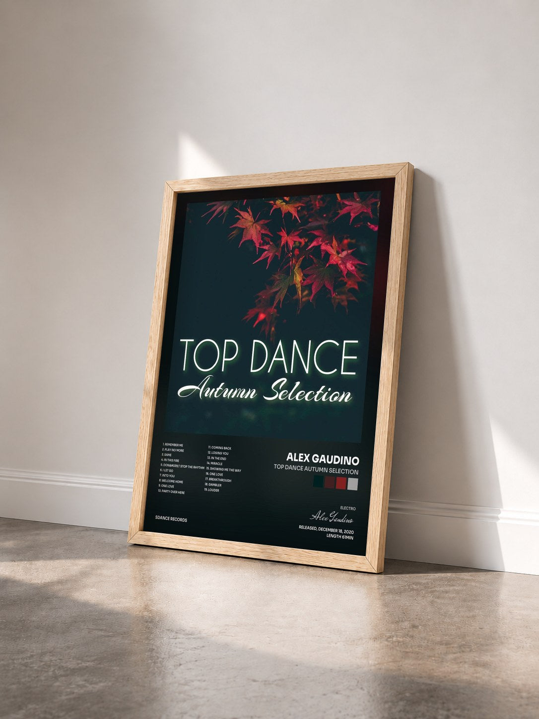 #bois Tableau de l'album Top Dance Autumn Selection de Alex Gaudino vu de trois quarts, cadre en bois brut