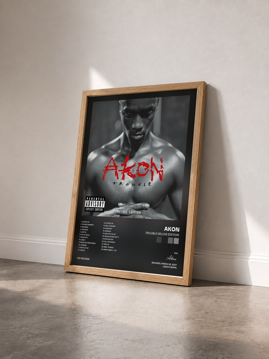 #bois Tableau de l'album Trouble Deluxe Edition de Akon vu de trois quarts, cadre en bois brut