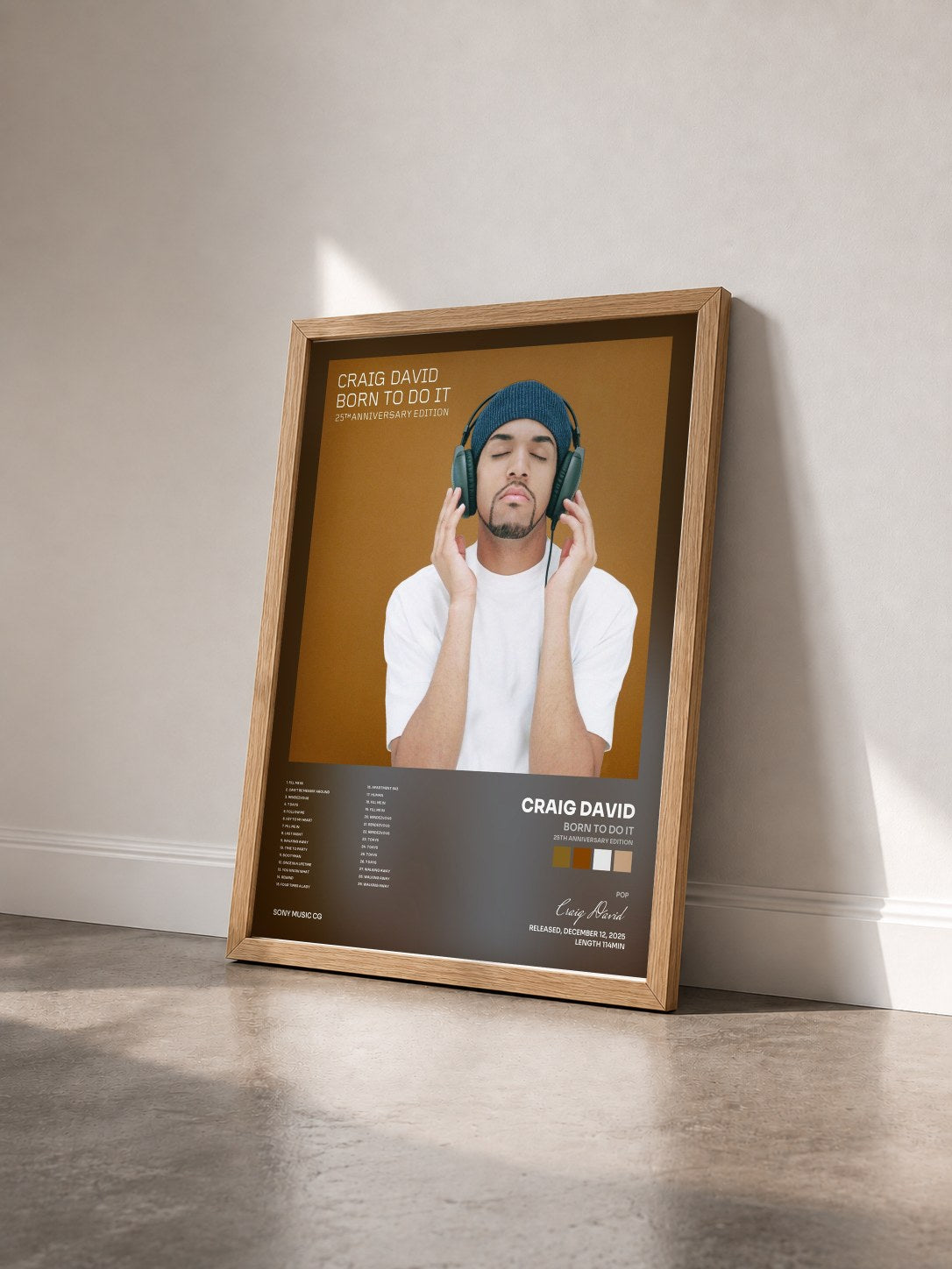 #bois Tableau de l'album Born to Do It (25th Anniversary Edition) de Craig David vu de trois quarts, cadre en bois brut