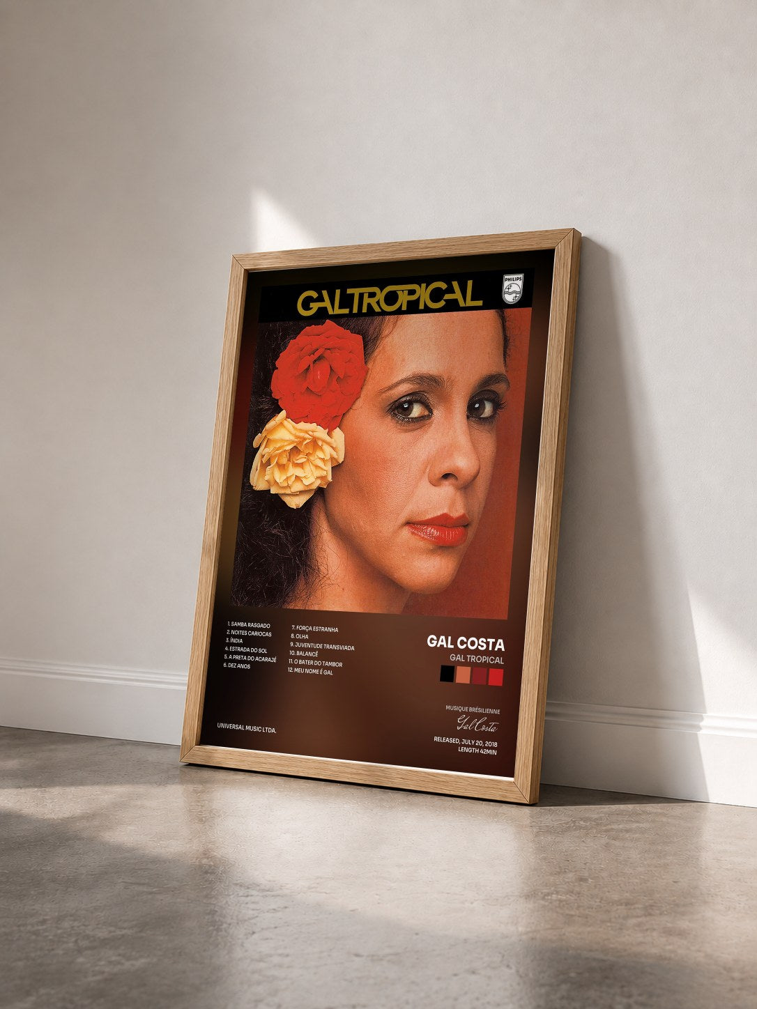 #bois Tableau de l'album Gal Tropical de Gal Costa vu de trois quarts, cadre en bois brut