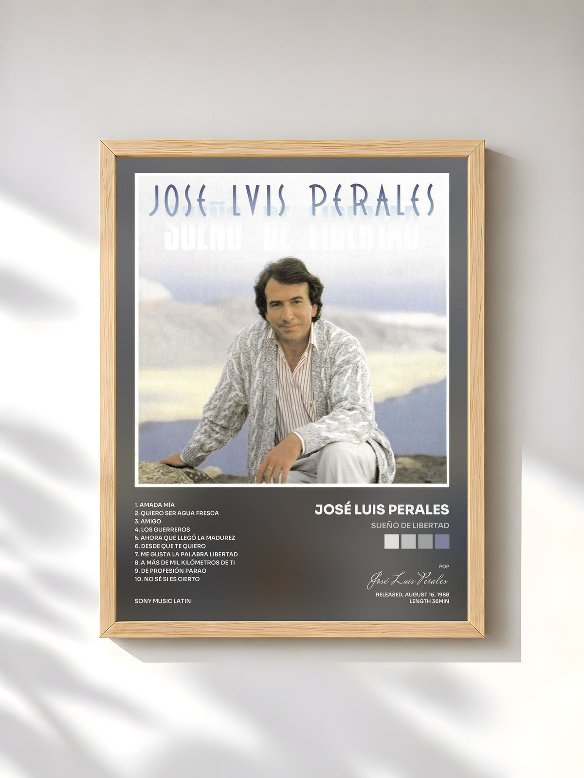 #bois Tableau de l'album Sueño de Libertad de José Luis Perales, cadre en bois brut, imprimé et encadré en France
